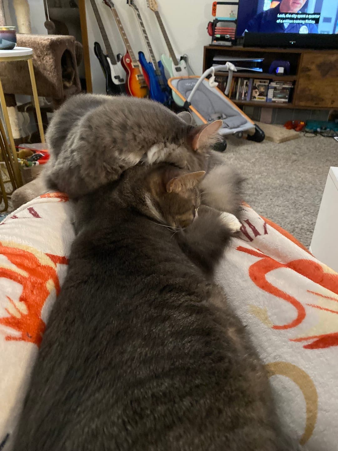 Photo from Courtney M.'s review