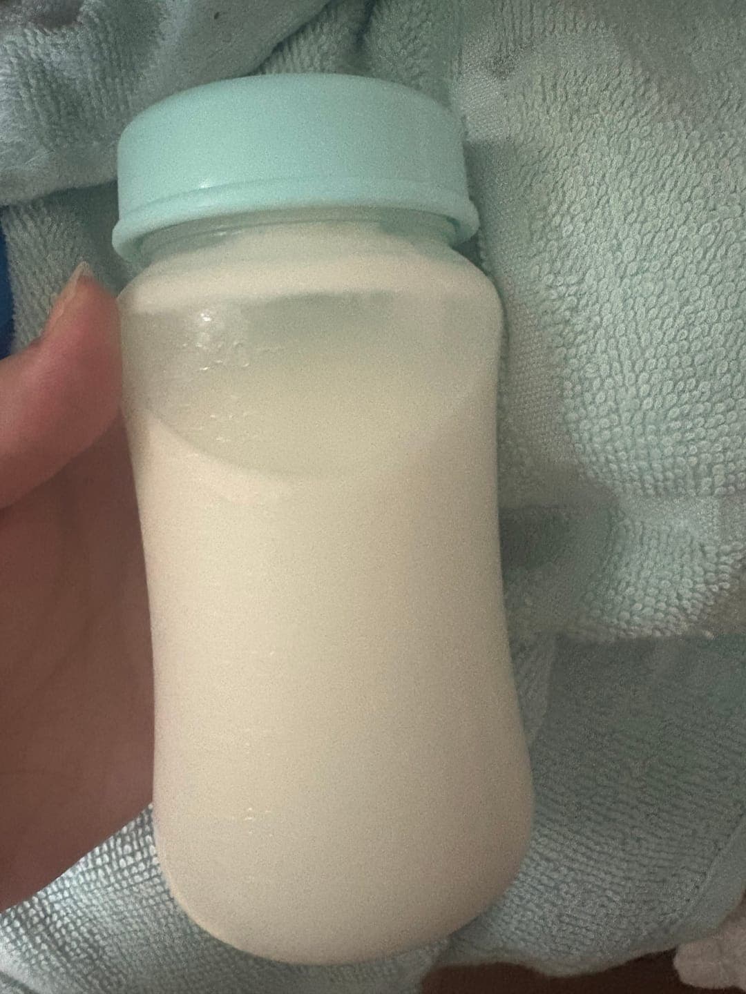 Photo from Dante S.'s review
